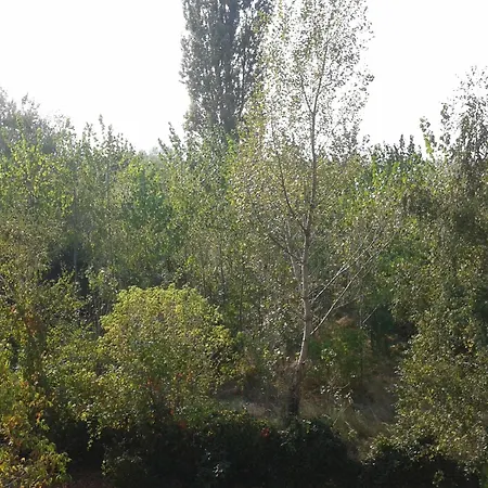 Отель Bed Breakfast Hotel Budapest Будапешт