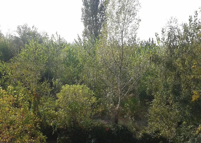 Hotel Bed Breakfast Hotel Budapest Budapesta